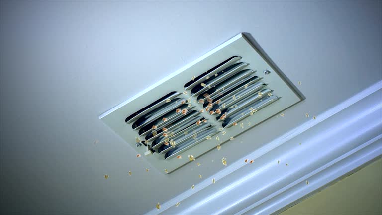 Best Ductwork Cleaning Services  in Lake Wynonah, PA