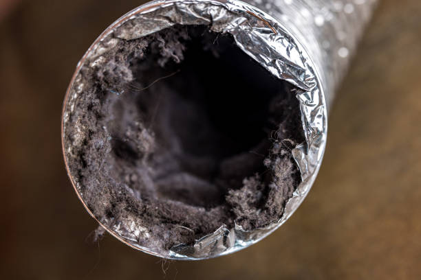 Best Professional Duct Cleaning Services  in Lake Wynonah, PA